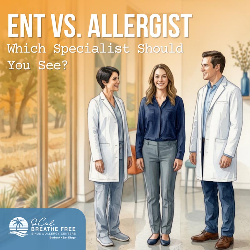 ENT vs. Allergist Educational Graphic